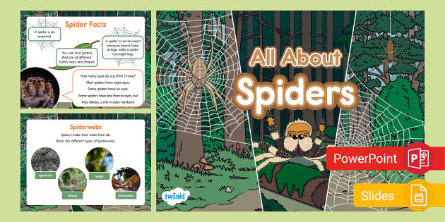 All About Spiders PowerPoint & Google Slides for K-2nd Grade