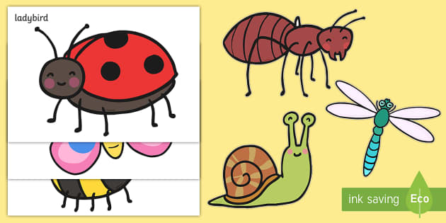 Minibeast Clipart Pictures Free