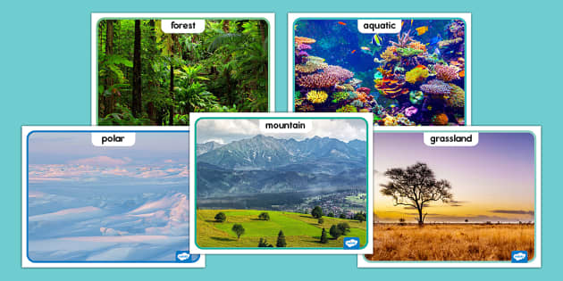 How The World Works Habitats Posters