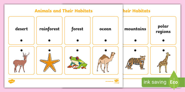 animals-and-their-habitats-thread-matching-activity-twinkl