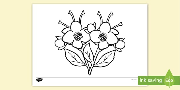 Flower Coloring Mats for Kids {Free Printable}