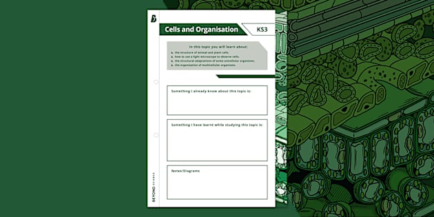 KS3 Cells and Organisation Topic Title Page (Teacher-Made)