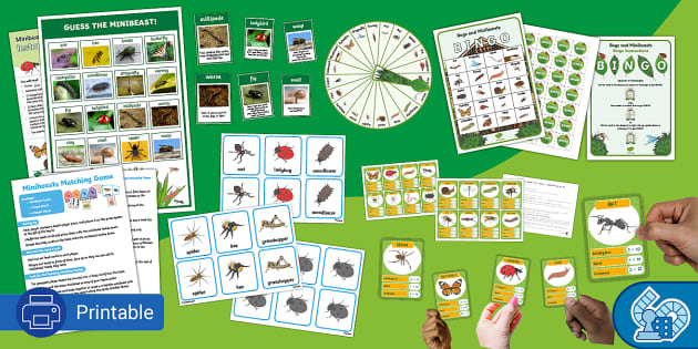 KS1 Minibeast Games Pack for Summer Activities - Twinkl