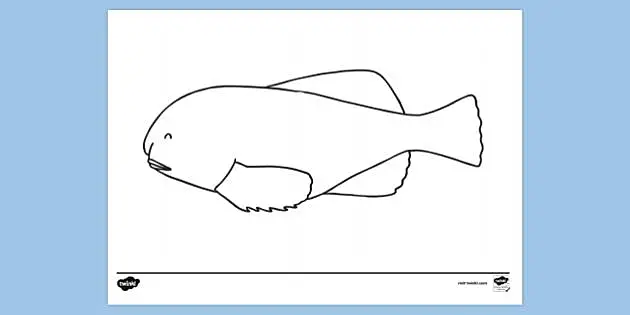 Blobfish é feio Páginas para colorir - Blobfish Coloring Pages