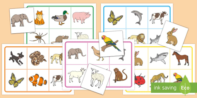 Animal Bingo and Lotto Game | Printable | Teacher-made