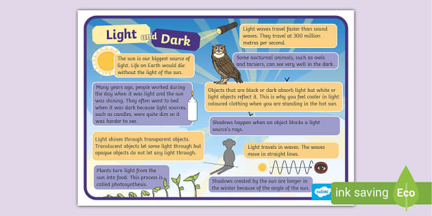 Ten Fun Facts About Light and Dark Display Poster - Twinkl