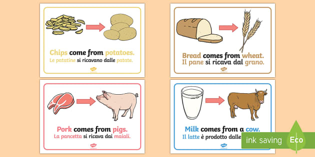 Where Does Food Come From? Display Posters English/Italian - Where Does ...