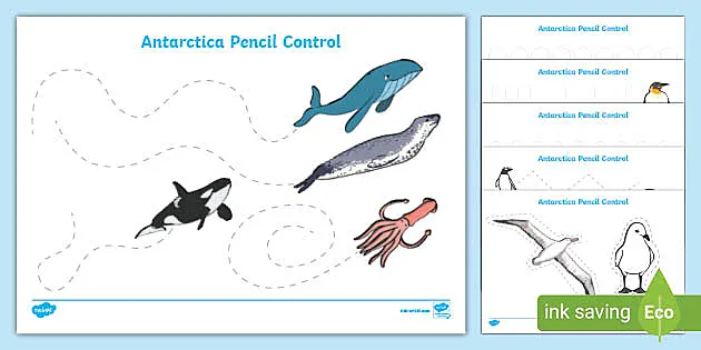 Antarctica-Themed Pencil Control Sheets (teacher made)