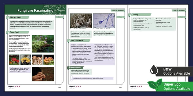 Fungi are Fascinating Differentiated Fact File - Twinkl