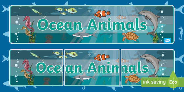 Ocean Animals Display Banner - Twinkl - KS1 - Twinkl