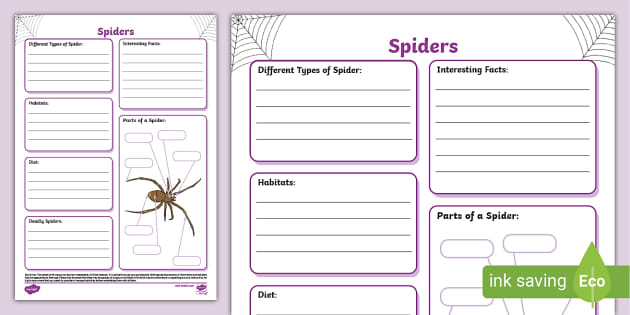 Spiders Fact File Template - all about spiders - Twinkl