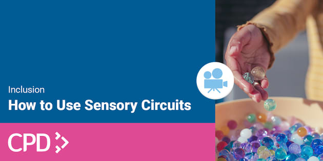 How to Use Sensory Circuits CPD Video (teacher made)