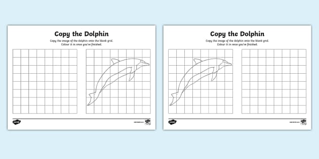 Copy the Dolphin Worksheet (teacher made) - Twinkl