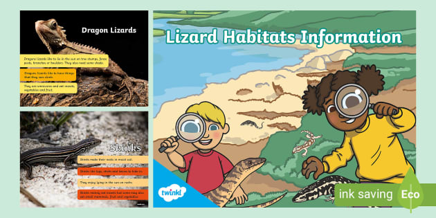 Lizard Habitats Information PowerPoint (teacher made)