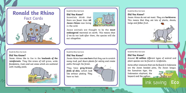 FREE! - Ronald the Rhino Fact Cards (teacher made) - Twinkl