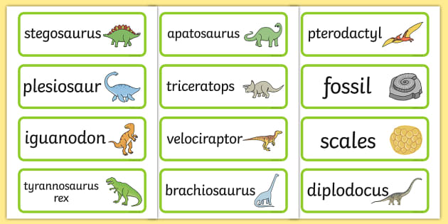 Dinosaur Vocabulary Word Cards