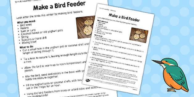 Bird Feeders Worksheet Teacher Made