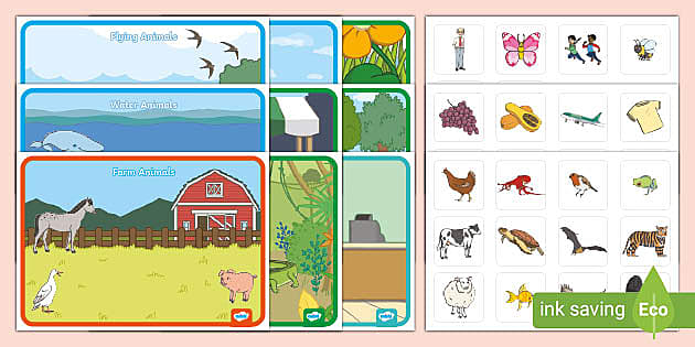 Category Sorting Activity