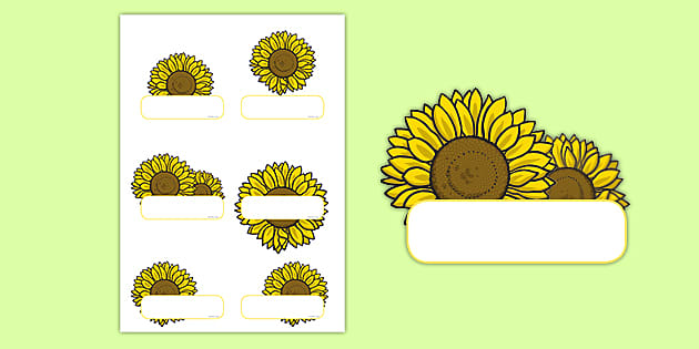 Lovely Sunflower Labels Resources For Primary School Lovely Sunflower Labels Resources For Primary School