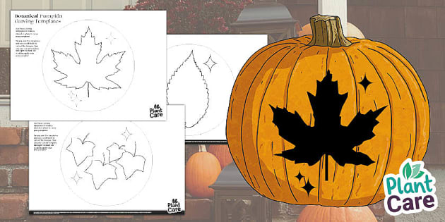 Botanical Themed Pumpkin Carving Stencils - Templates