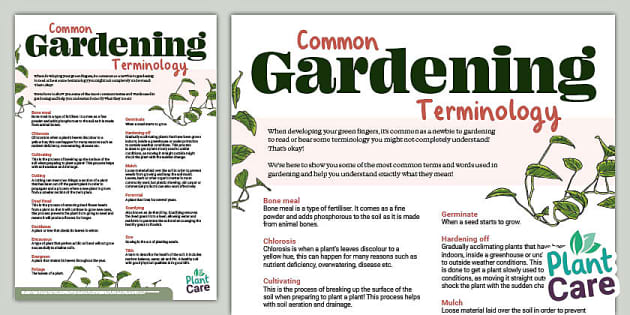 Common Gardening Terminology (teacher made) - Twinkl