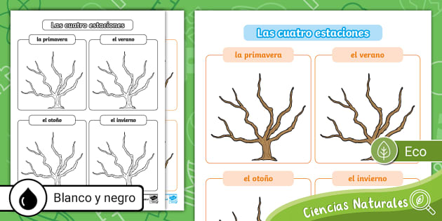 hoja de trabajo del arbol de las estaciones