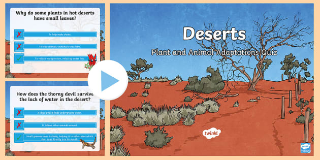 Desert Plant and Animal Adaptations Quiz PowerPoint - Twinkl