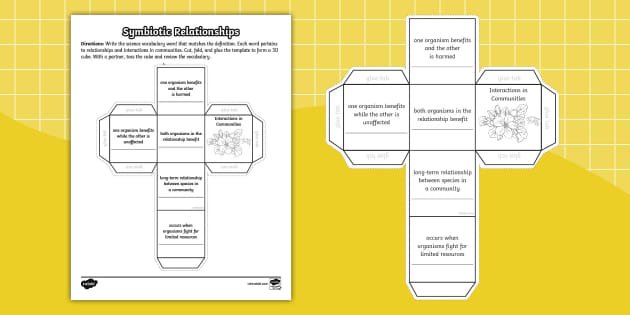 Symbiotic Relationships Information Cube Toss for 6th 8th