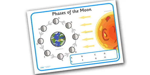 Phases of the moon worksheet (teacher made) - Twinkl