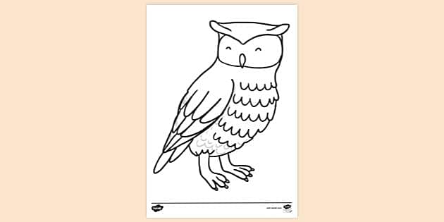 free-owl-colouring-sheet-primary-school-teacher-made