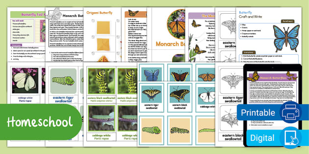 Butterfly Multi Level Homeschool Pack Teacher Made   Butterfly Multi Level Homeschool Pack Us E 1687131074 Ver 1 