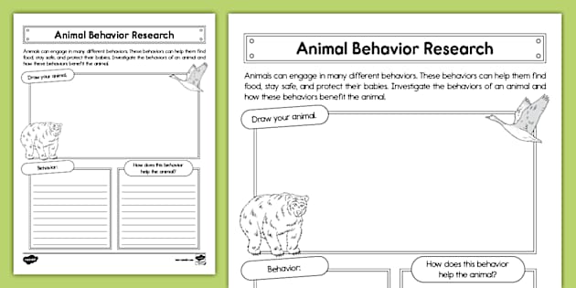First Grade Animal Behavior Research Activity (teacher made)