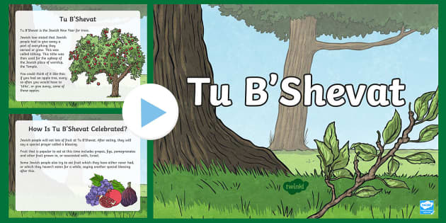 Tu B’Shevat Information PowerPoint | Judaism Resource