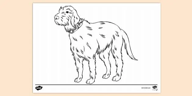 irish setter coloring pages