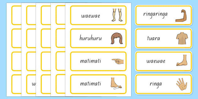 Parts Of The Body Topic Words Te Reo Māori Teacher Made