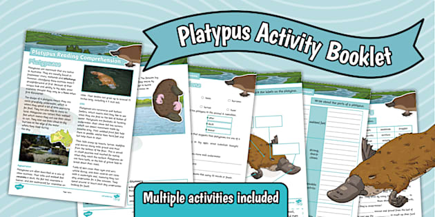 Platypus Activity Booklet
