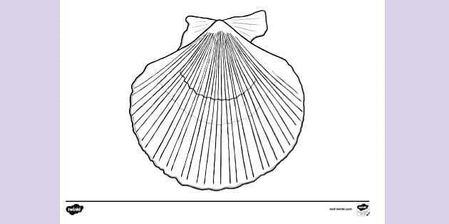 FREE! - Scallop Shell Outline Colouring Sheet