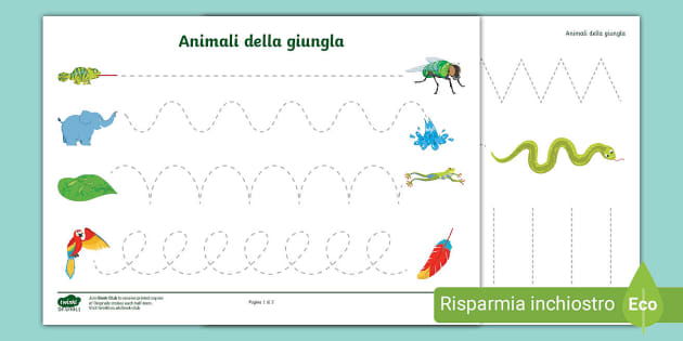 Diversi tipi di animali della giungla  Animali della giungla, Animali,  Attività con animali