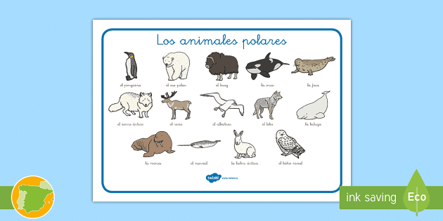 Tapiz de vocabulario: Los animales polares (teacher made)