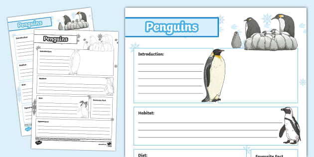 Penguins Non-Chronological Report Template (Teacher-Made)