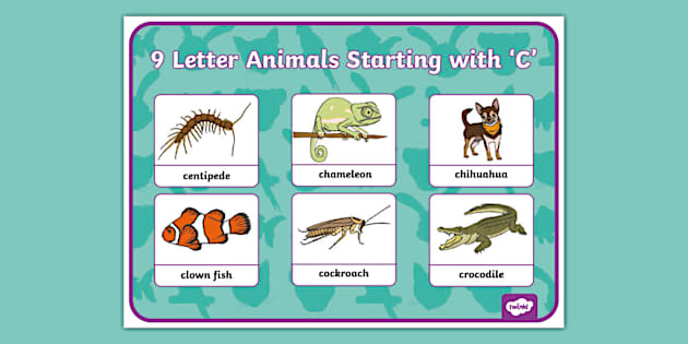 Nine Letter Animals Starting with 'C' Display Poster