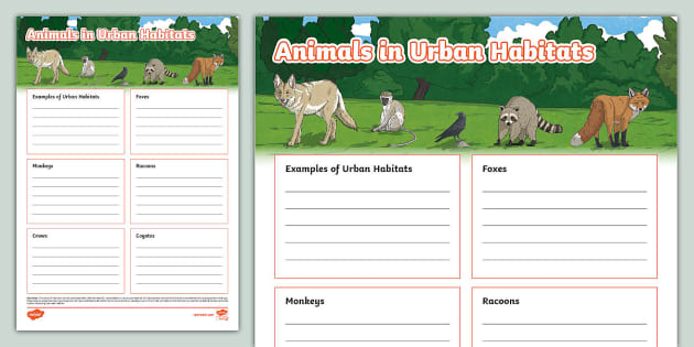 Animals in Urban Habitats Fact File Template - Twinkl