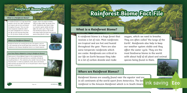 Rainforest Biome Fact File Environments And Adaptations