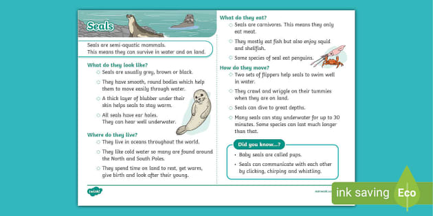 Seals Fact File - KS1 - Animals (teacher made) - Twinkl