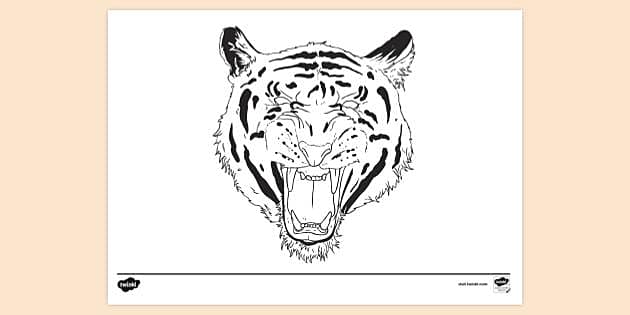 tiger face coloring pages for kids
