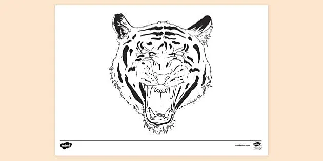 How to draw a Tiger Face(Head)
