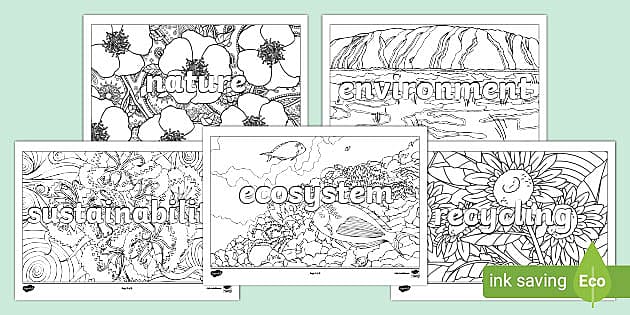 3 Nature Mindful Colouring Sheets Designs & Graphics