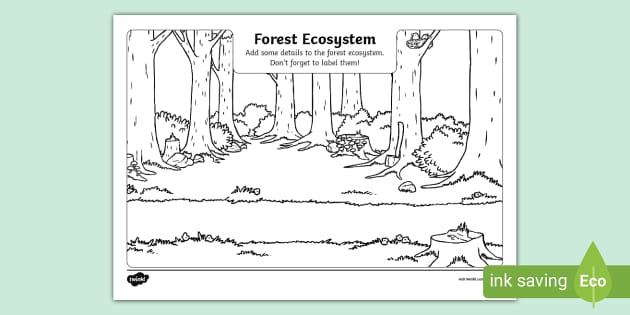 How To Draw A - Small Easy Forest Drawing, HD Png Download , Transparent  Png Image | PNG.ToolXoX.com