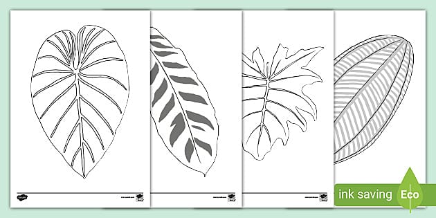 free-rainforest-leaves-template-ks1-teacher-made