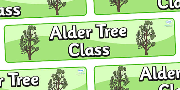 Alder Tree Themed Classroom Display Banner Teacher Made 6970